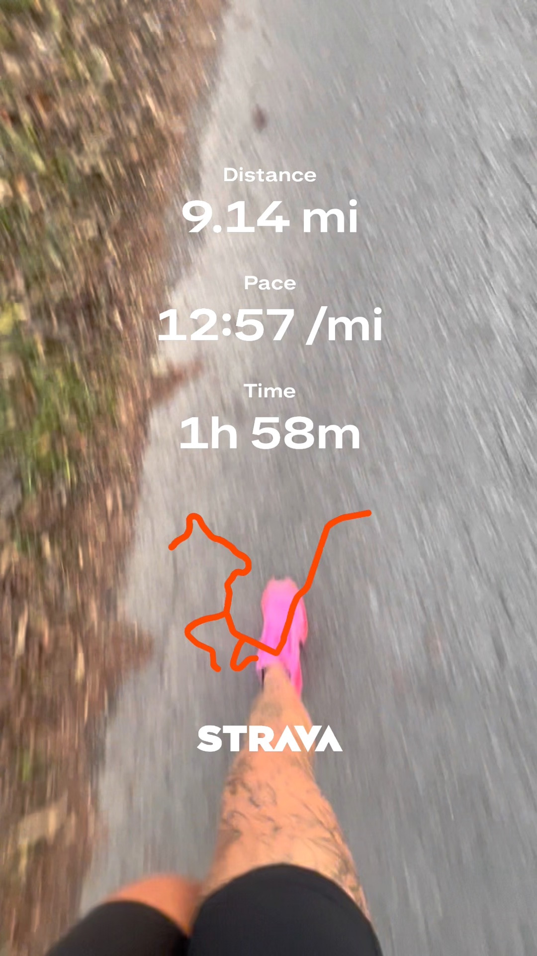 Forever my favorite running combo. Nike Pegasus and Gymshark shorts. I get a medium in the shorts and I got up .5 size in my running shoes. 

Running, running outfit, runner, Nike, pink running shoes, pink Nikes, Nike running, Nike women, does it come in pink, Alicia Bice 

#LTKGiftGuide #LTKActive #LTKShoeCrush