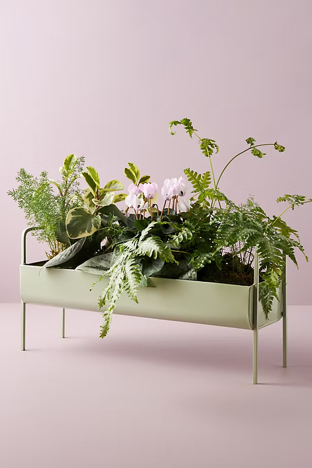 Minty Trough Planter | Anthropologie (US)