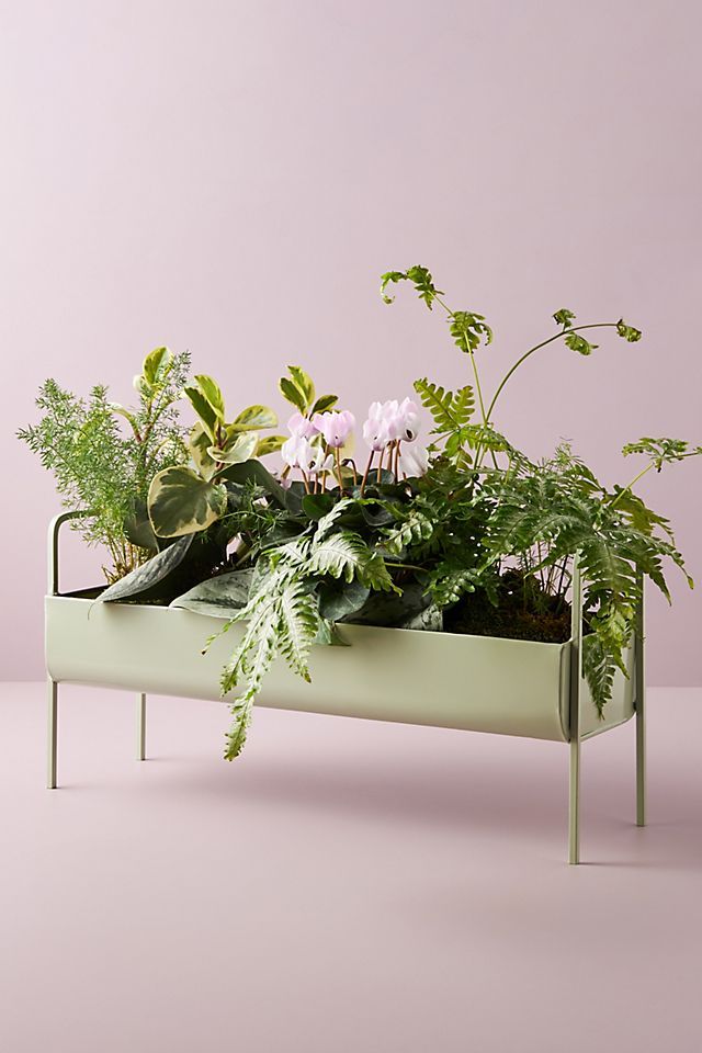 Minty Trough Planter | Anthropologie (US)