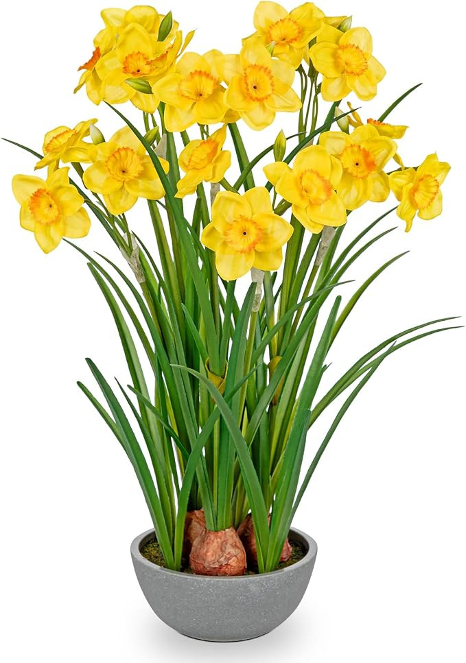 Artificial Flowers in Pot 16" Fuax Daffodil Potted Flowers Plant Decor Room Farmhouse Fake Yellow... | Amazon (US)