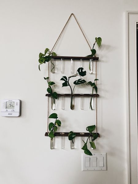 Amazon plant propagation station 😍 great for hanging plant clippings on your wall in a cute way 

#LTKhome #LTKunder50 #LTKFind