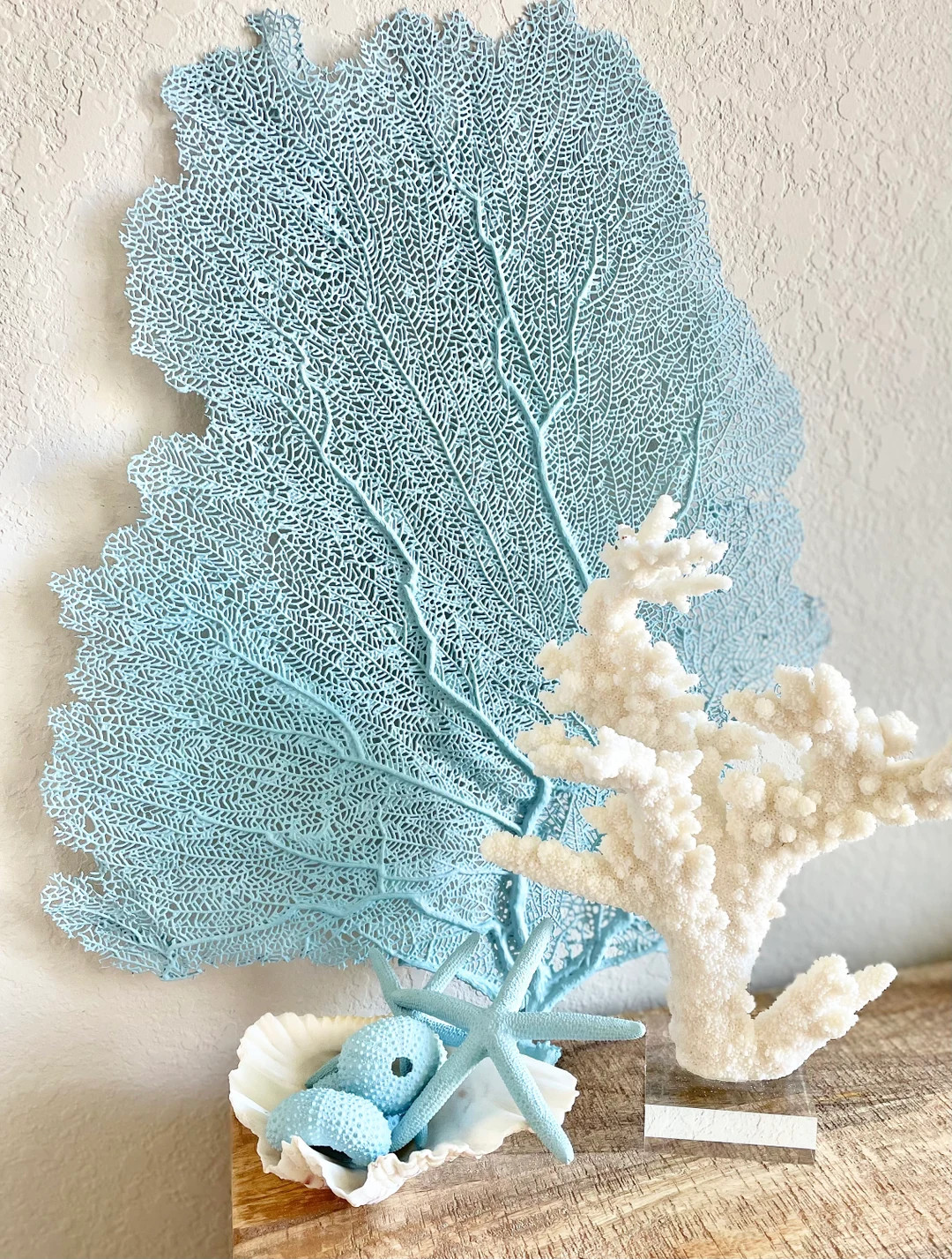 Light Blue Sea Fan (8-20") *you Choose Size* Natural Hand Painted Coastal Décor - Etsy | Etsy (US)