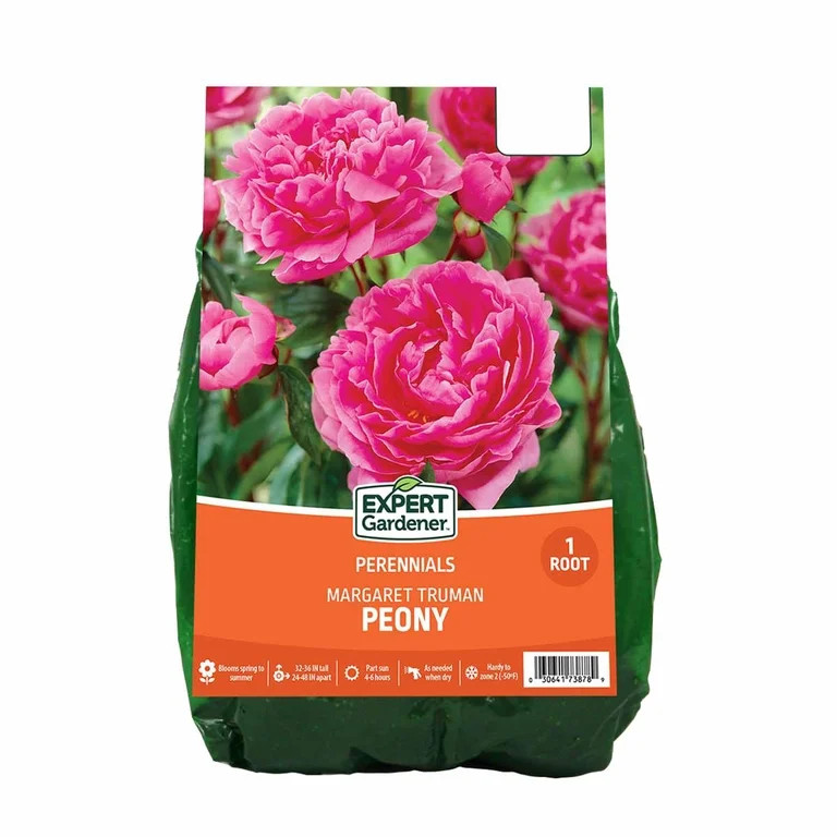 Expert Gardener Peony 'Margaret Truman' Dormant Bare Root Plant, Partial Sun, Pink, Perennial | Walmart (US)