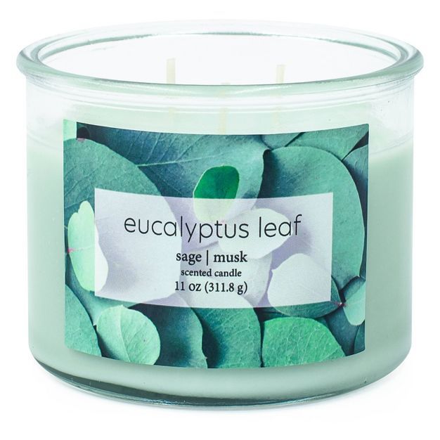 11oz 3-Wick Candle Eucalyptus Leaf | Target