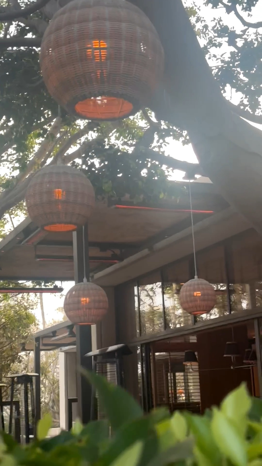 As evening settles in, there’s something so beautiful about outdoor lighting tucked into the trees. This rattan pendant brings that effortless coastal chic feeling—warm, relaxed, and just refined enough to make the whole setting feel special. It’s the kind of detail that turns an outdoor space into a true evening retreat.

If you’ve been thinking about refreshing your patio or garden, Serena & Lily outdoor is now up to 40% off, including those beautiful lighting pieces that instantly bring charm and atmosphere outdoors.

#SerenaAndLily #OutdoorLighting #RattanPendant #CoastalChic #OutdoorLiving #PatioStyle #GardenLighting #EveningMood #OutdoorDecor #SummerStyle

#LTKdayinmylife #LTKHome #LTKSaleAlert