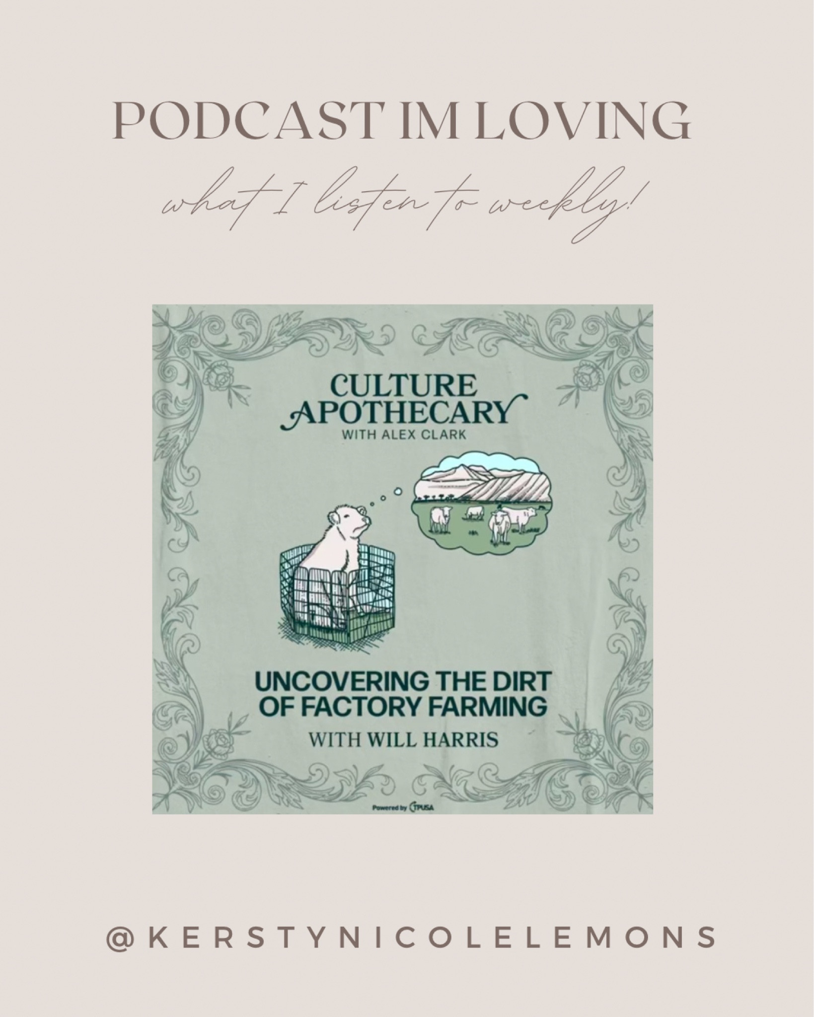 I try and listen to either an informative podcast or Christian based podcast 3-4 times a week along with reading my Bible daily! I LOVEEEE the culture apothecary! I have almost listened to them all! If you aren’t listen to her and her guest you’re missing out! 😘

#LTKFamily #LTKBaby #LTKActive