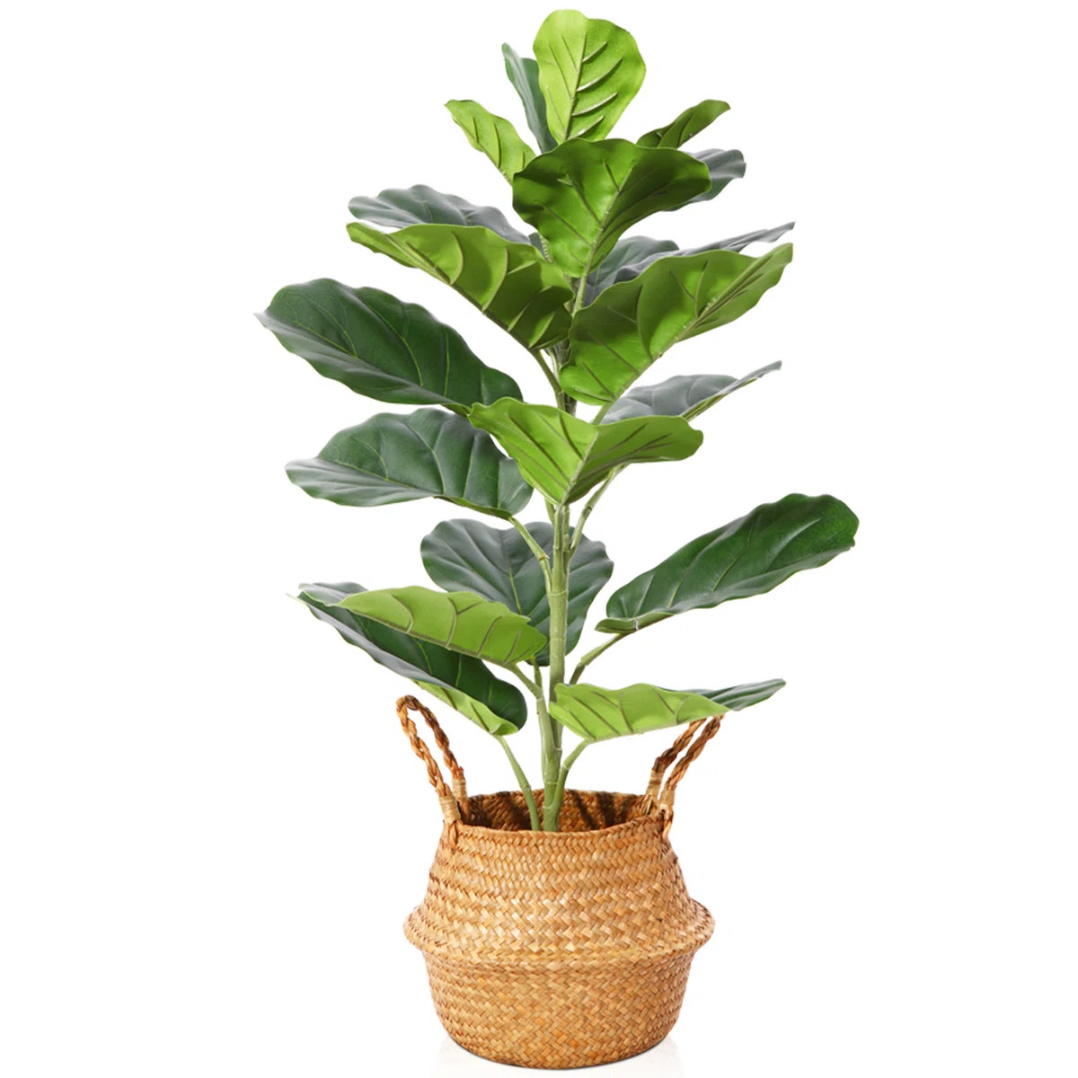 Adcock 30in Artificial Fiddle Leaf Fig Plant in Basket, Faux Green Plant, Fake Tree for Home Déc... | Wayfair North America