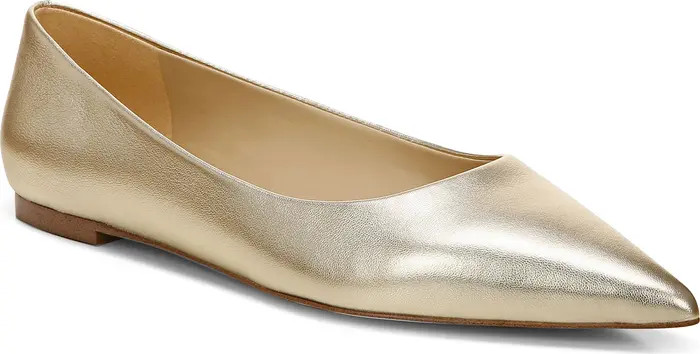 Sam Edelman Wanda Pointed Toe Flat | Nordstrom | Nordstrom