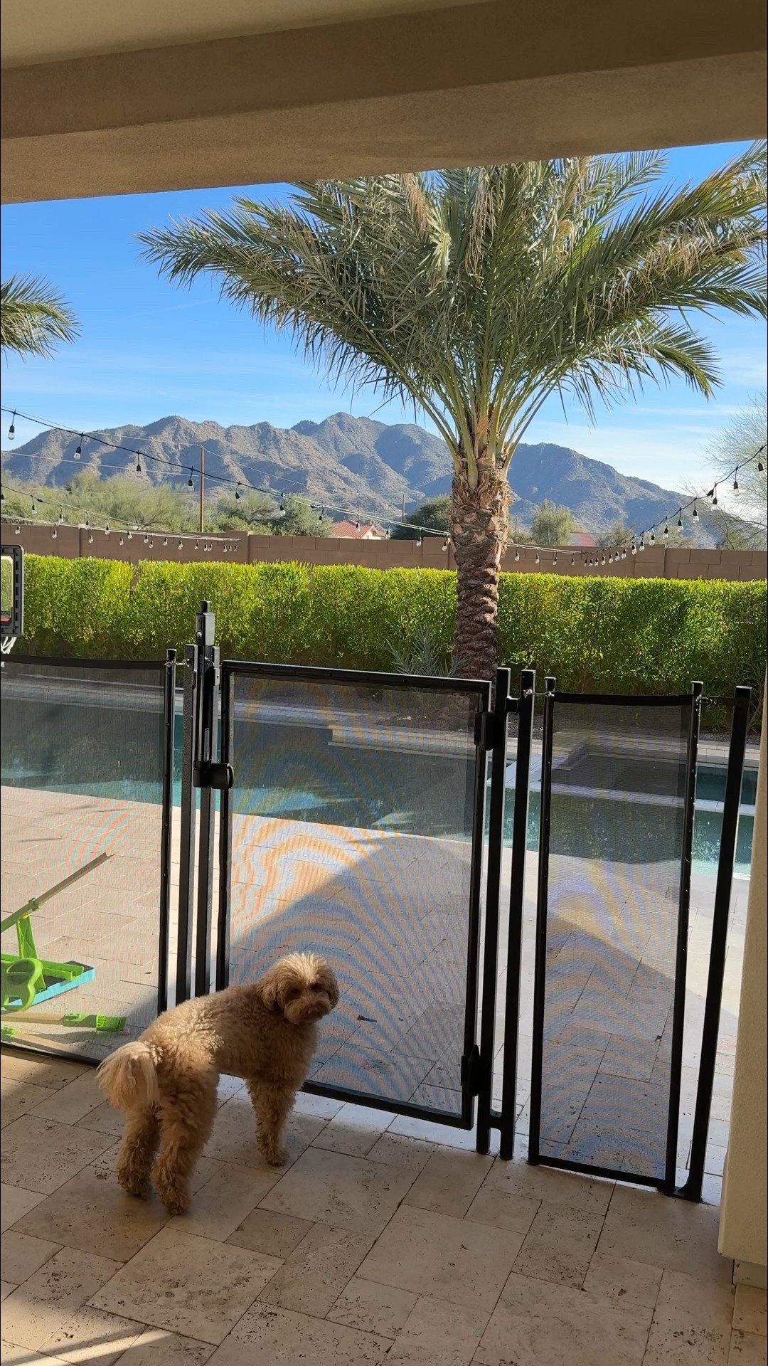 #LTKdayinmylife #LTKHome