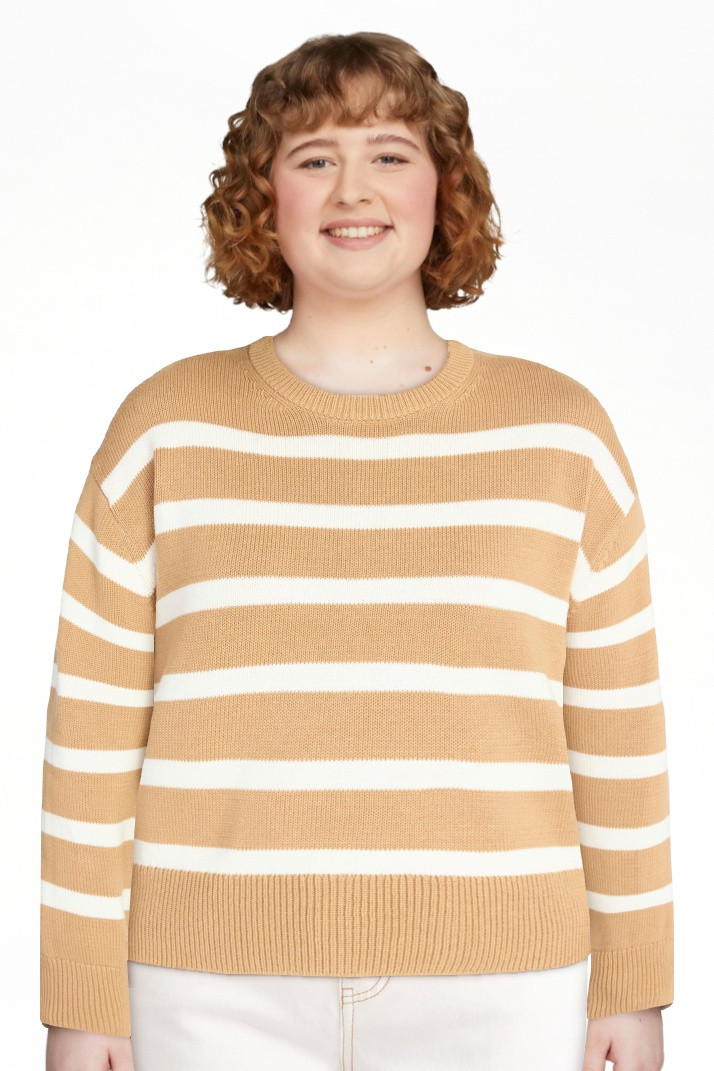 Time and Tru Women's Pullover Crewneck Sweater with Long Sleeves, Sizes XS-XXXL | Walmart (US)