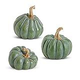 K&K Interiors 41594A-GR Assorted Green Resin Pumpkins (3 Styles) | Amazon (US)