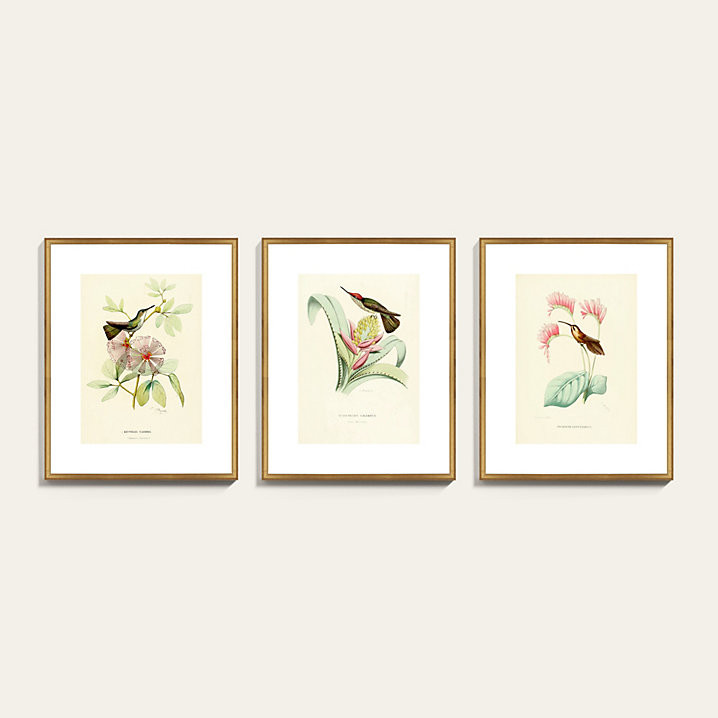 History of Hummingbirds Art | Ballard Designs, Inc.