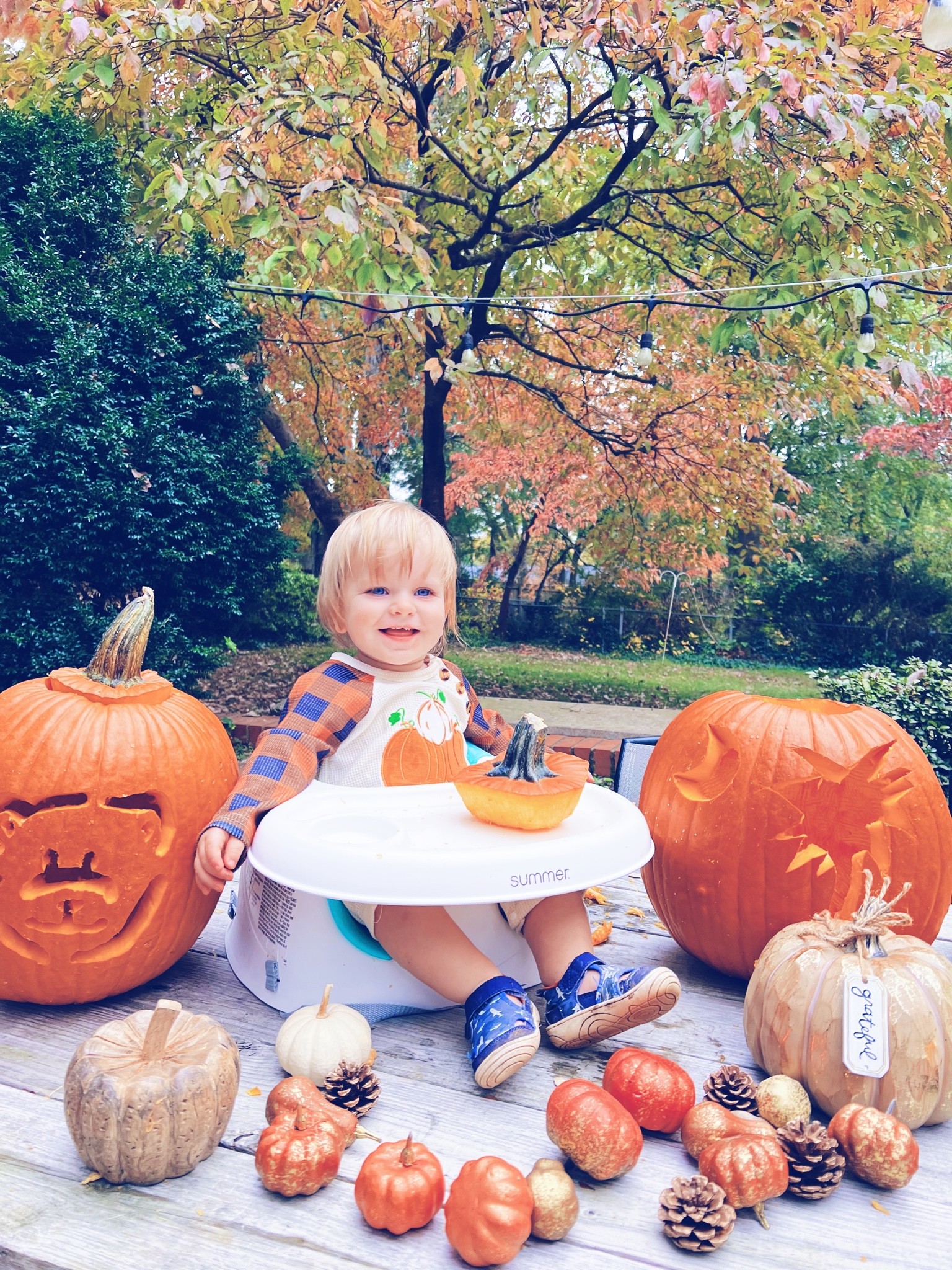 Happy Halloweekend from our little pumpkin!! 🎃🫶🏽🧡 We had so much fun this afternoon carving pumpkins in the backyard with the gorgeous fall leaves 🍂🌳🍁- our little family (& front porch 😉) is all ready for Halloween come Monday!! 👼🏼✨🐶 #happyhalloweekend #pumpkincarvingfun

…

#emilysayswes #judsoncarpentermabry #seventeenmonthsold #seventeenmonthold #seventeenmontholdbaby #seventeenmontholdboy #judsonmonthbymonth #sweetjudson #oursweetboy #oneyearold #oneyearoldbaby #oneyearoldbabyboy #oneyearoldboy #gratefulmotherhood #fallfun #autumnmemories #octobermemories #thankyoulord #sweetfallmemories #mysweetboys #ourlittlepumpkin 

#LTKfamily #LTKbaby #LTKSeasonal