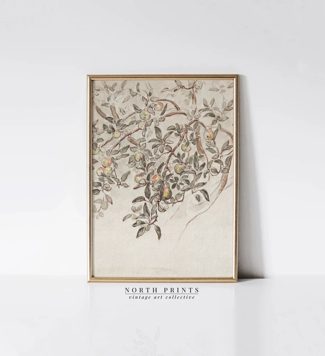 Vintage Apple Tree Print | Neutral Farmhouse Wall Art | PRINTABLE Download Country Sketch | 1155 | Etsy (US)