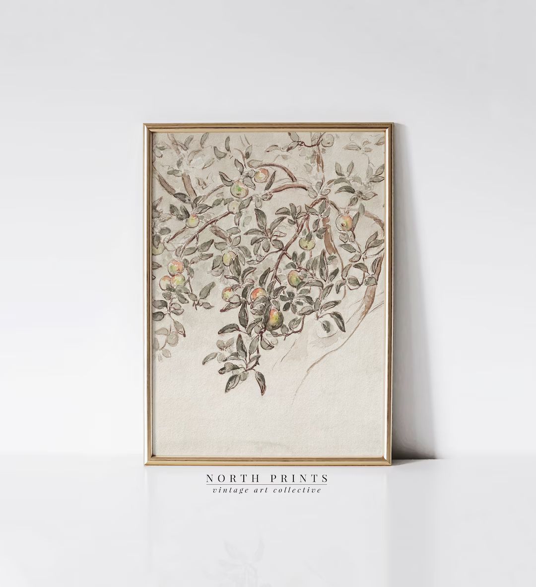 Vintage Apple Tree Print  Neutral Farmhouse Wall Art  - Etsy | Etsy (US)