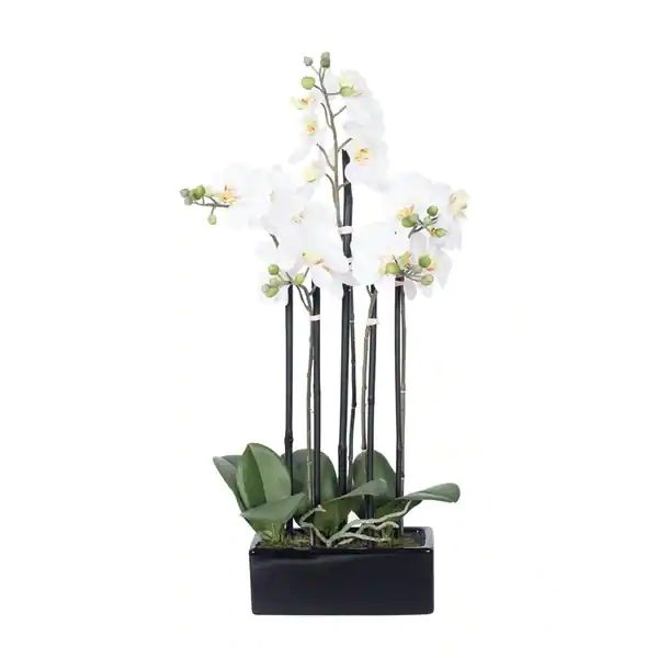 Vickerman 21 White Orchid Floral Arrangement | Bed Bath & Beyond
