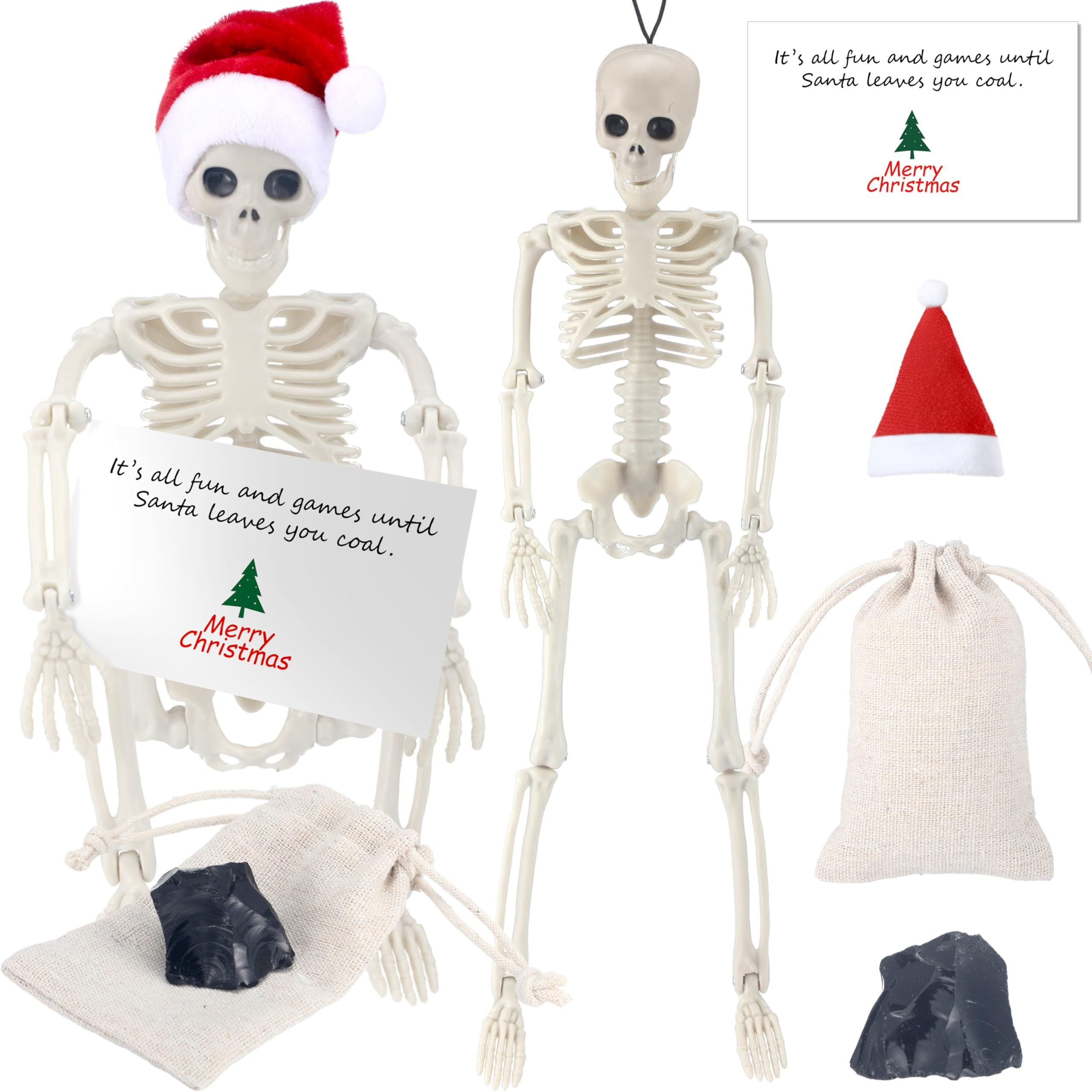 Leyndo Dead in The Lab Miniature Skeleton with Santa Hat Christmas Coal Canvas Bag and Card for C... | Amazon (US)