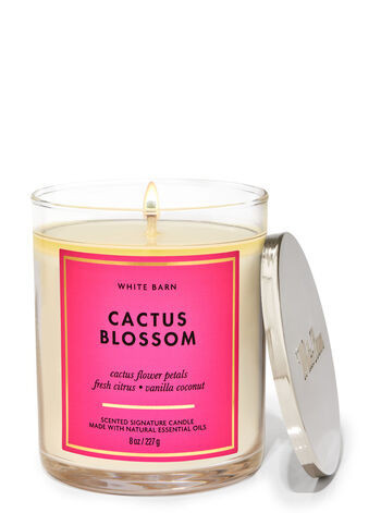 Cactus Blossom


Signature Single Wick Candle | Bath & Body Works