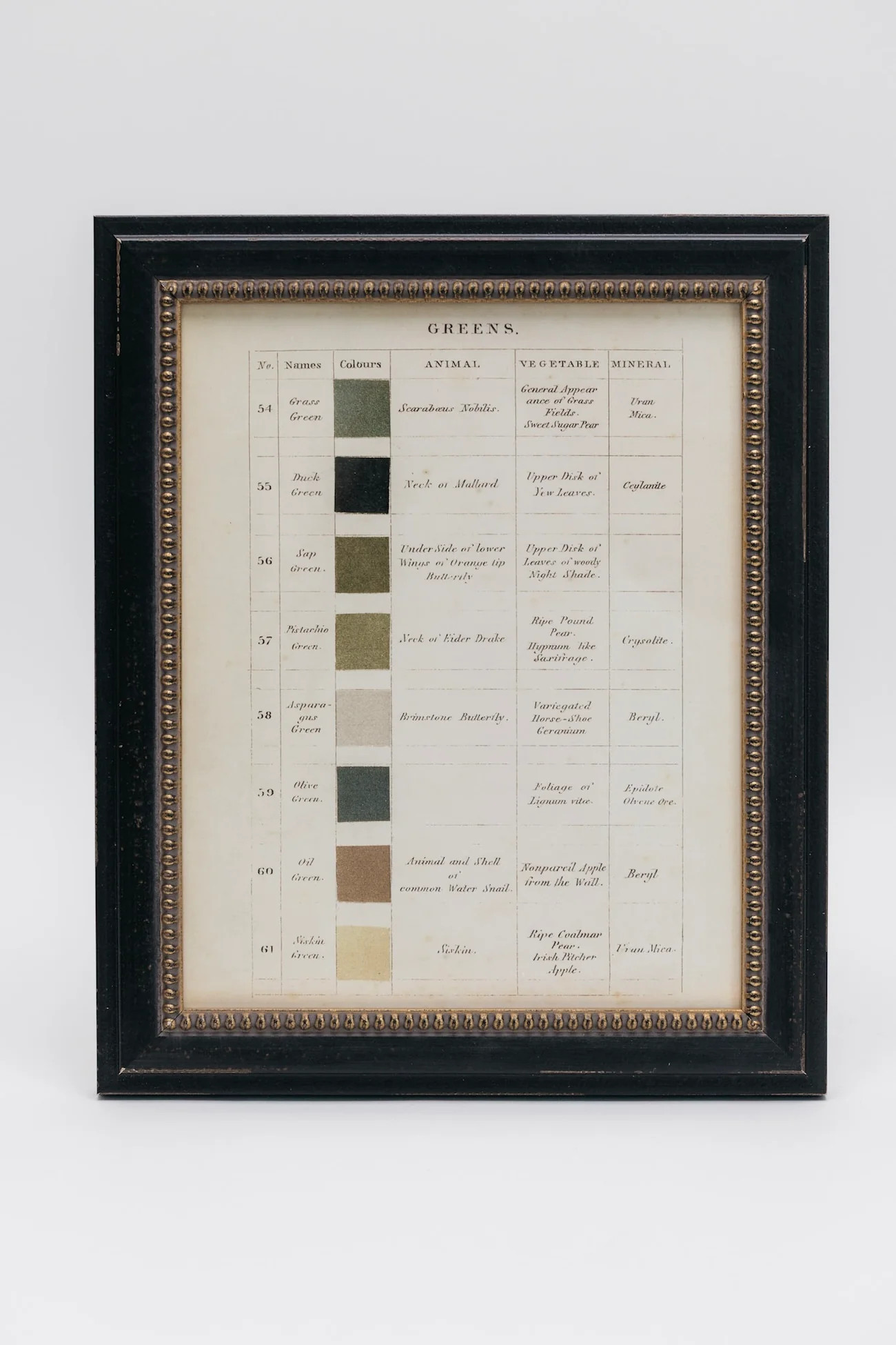 Shades of Green Wall Art | THELIFESTYLEDCO