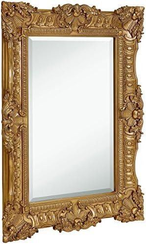 Hamilton Hills 30" x 40" Antique Gold Framed Rectangular Glass Mirror| Large Ornate Gold Baroque ... | Amazon (US)