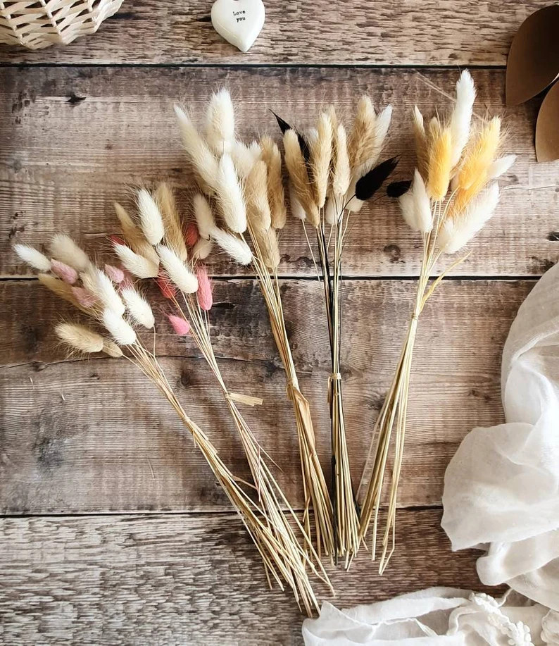 Lagurus (Bunny tail) Dried Folwer Bouquet | Etsy (US)