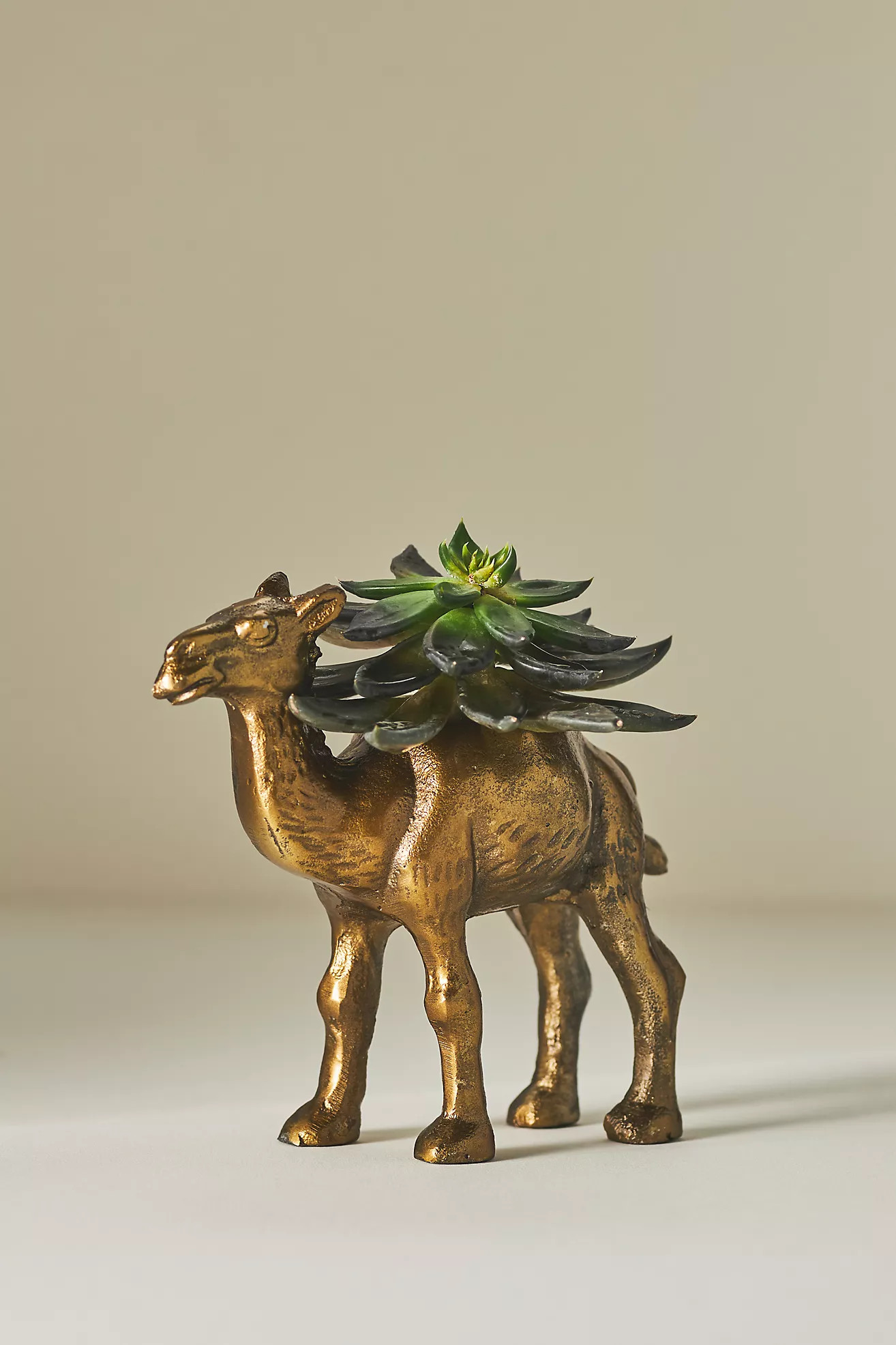 Camel Planter | Anthropologie (US)
