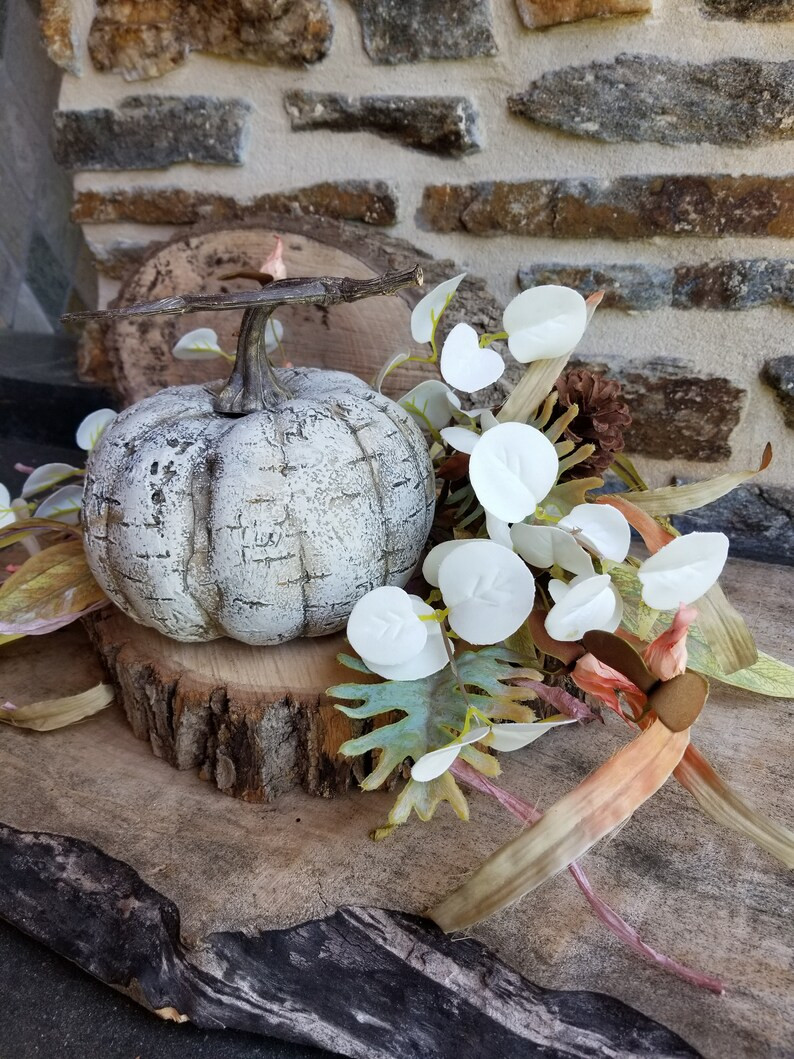 White Birch Bark Pumpkin Thanksgiving Decorations Fall - Etsy | Etsy (US)