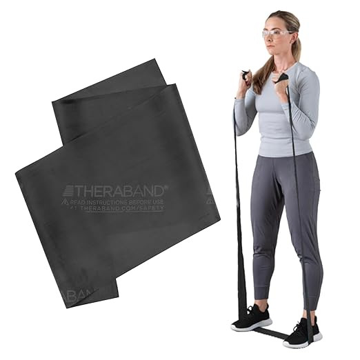 THERABAND Professional Resistance Band, Black Level 5 Special Heavy, 5 ft Exercise Band for Physi... | Amazon (US)