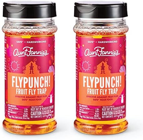 Aunt Fannie's FlyPunch, for Indoor Fruit Fly Use (2-Pack) | Amazon (US)