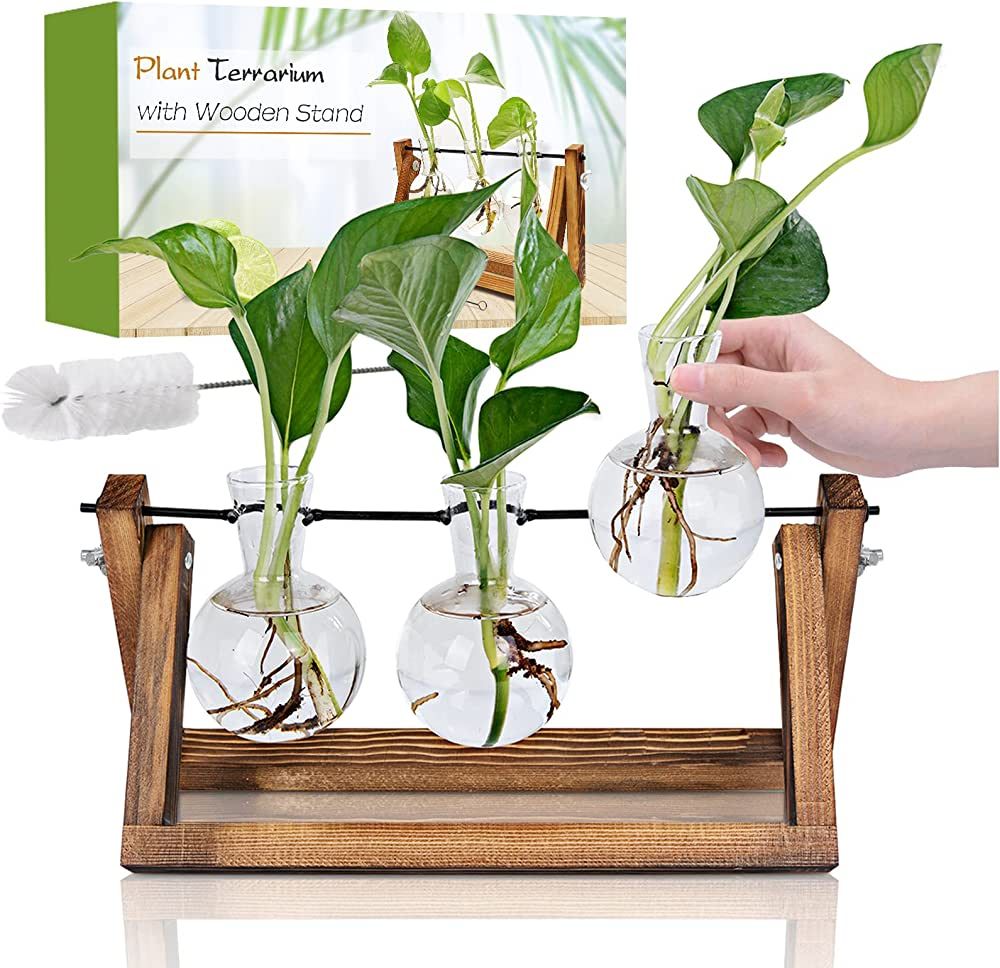 Plant Propagation Station, Plant Terrarium with Wooden Stand, Unique Gardening Birthday Gifts for... | Amazon (US)