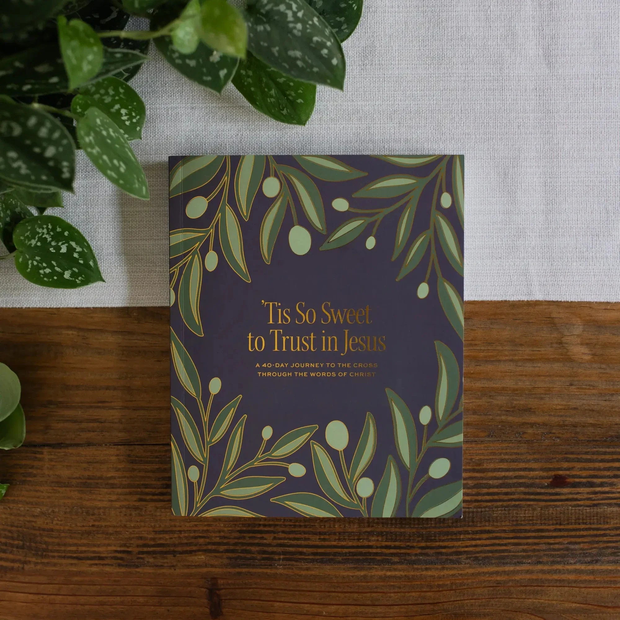 Slightly Imperfect - 'Tis So Sweet to Trust in Jesus Bible Study | The Daily Grace Co.