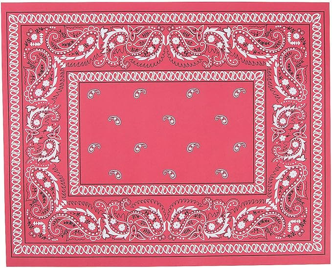 Western Themed Paper Placemats - Red Bandana Deisgn - BBQ and Cowboy Party Supplies - Bulk Set of... | Amazon (US)