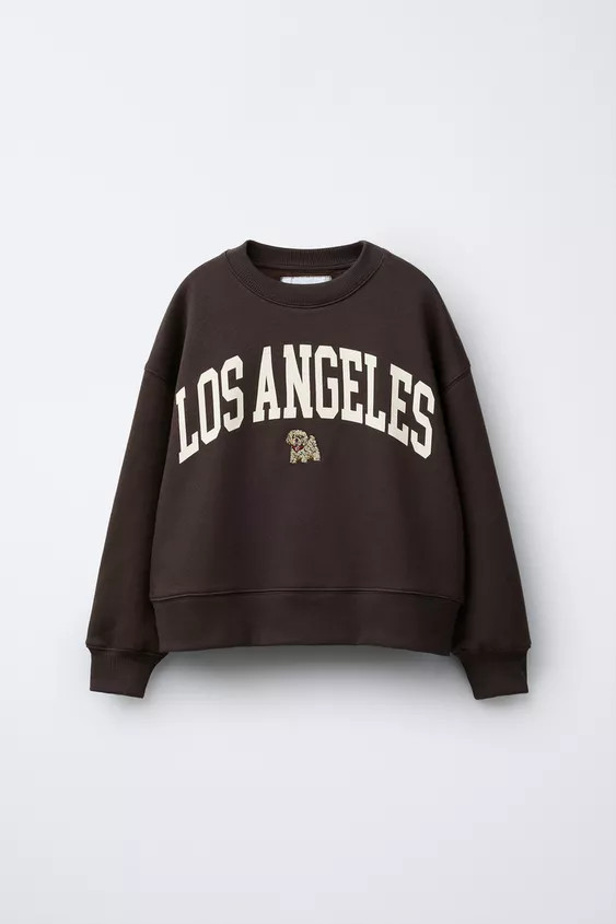EMBROIDERED PUPPY TEXT SWEATSHIRT | Zara US