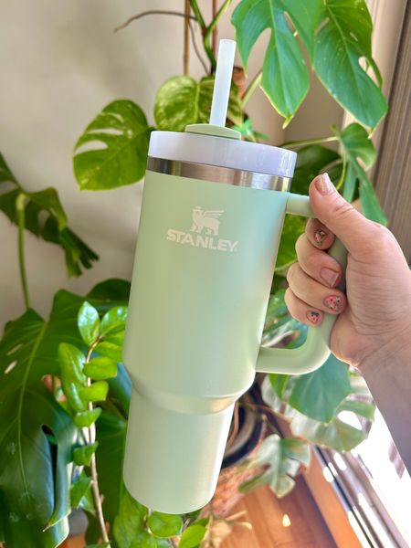I’m not sure how many Stanley cups are needed but two wasn’t enough. My husband kept taking mine & I couldn’t pass up the new beautiful Matcha collection.

Stanley cup, travel cup, water bottle, tumbler 

#LTKActive #LTKTravel #LTKFitness