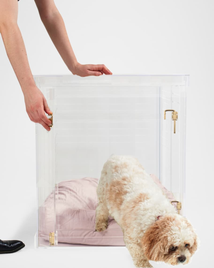 HIDDIN Medium Clear View Pet Crate With Golden Latch | Neiman Marcus