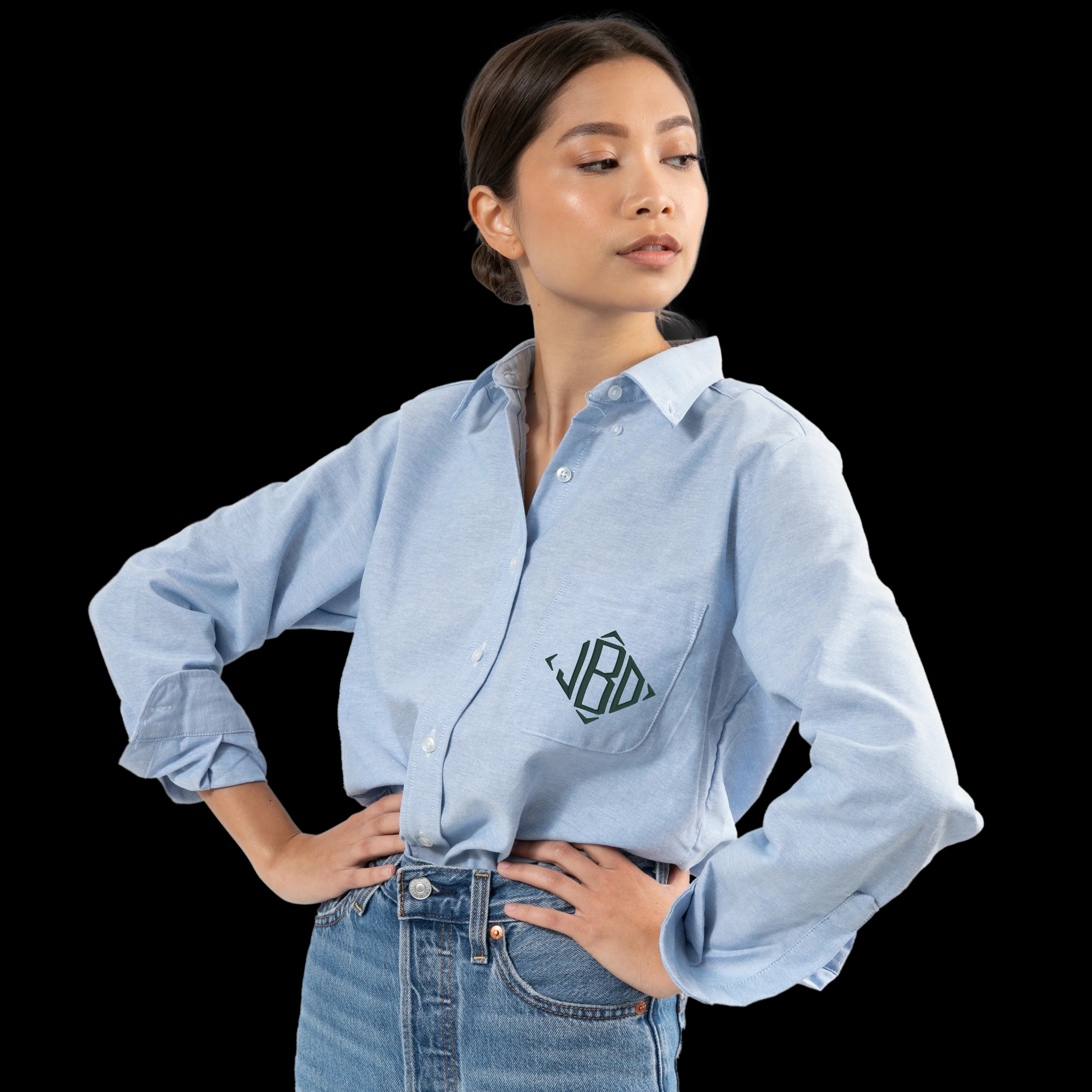 Blue Oxford | Katie Kime Inc