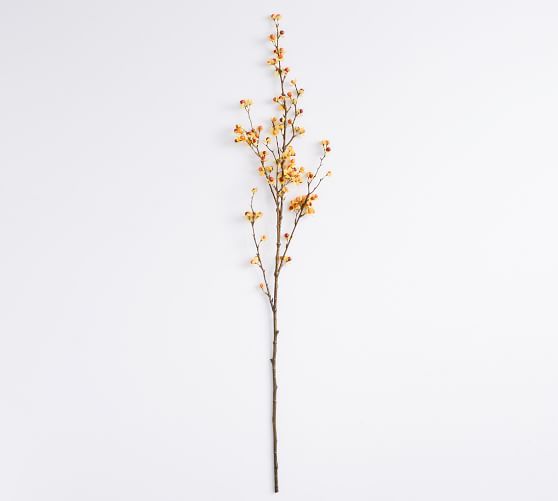 Faux Autumn Bittersweet Branch | Pottery Barn (US)