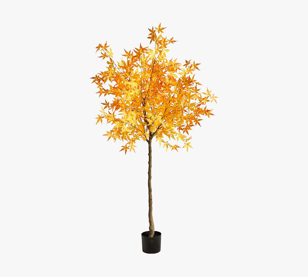 Autumn Maple Leaf Tree | Pottery Barn (US)
