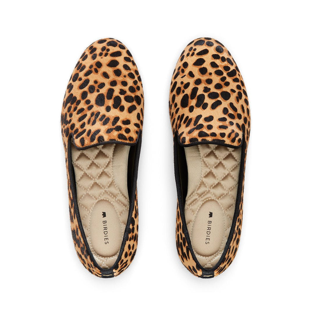 the starling | BIRDIES