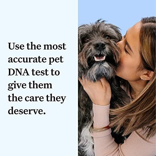 Wisdom Panel Essential: Most Accurate Dog DNA Test Kit for Breed ID and Ancestry | 25+ Genetic He... | Amazon (US)