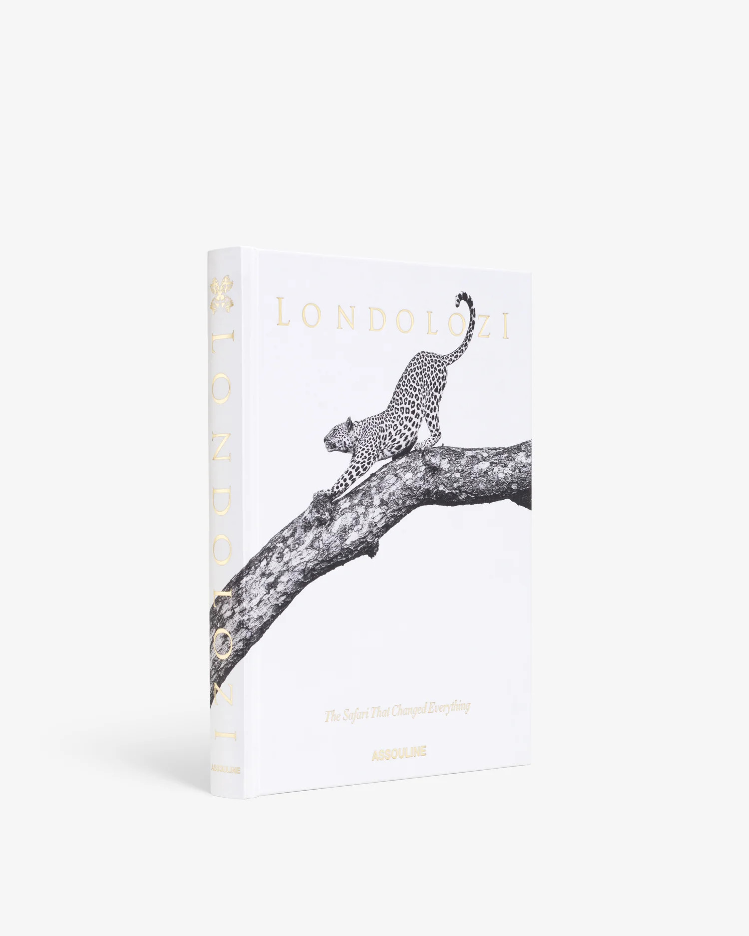 Books | Assouline