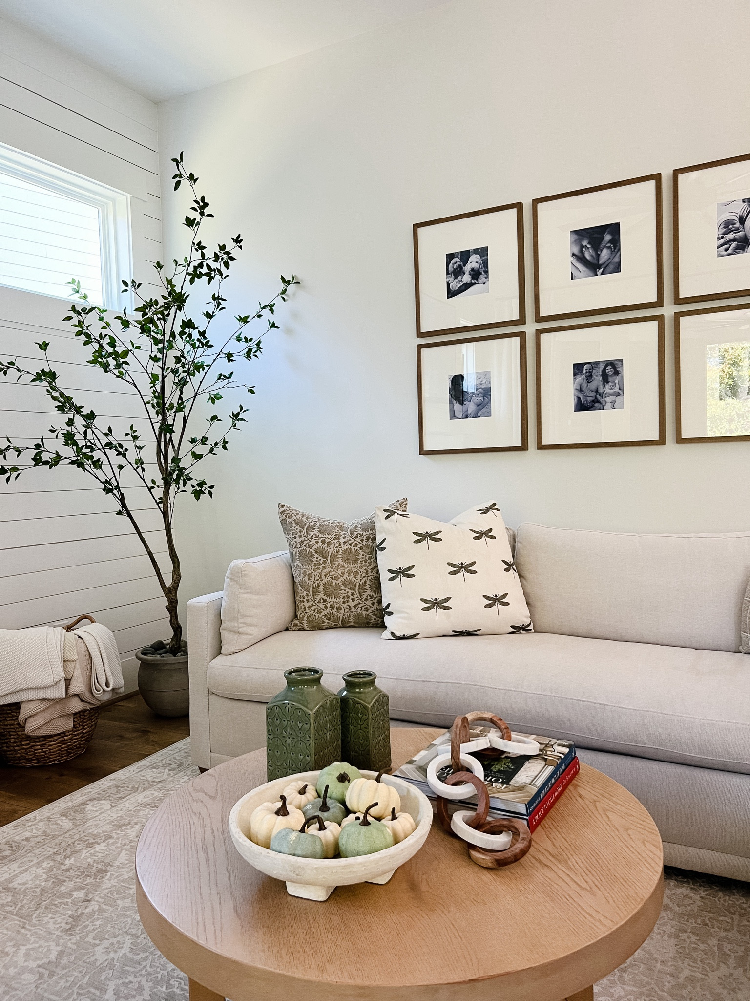 Shop our family room 💚

#LTKHome #LTKSaleAlert #LTKFindsUnder100