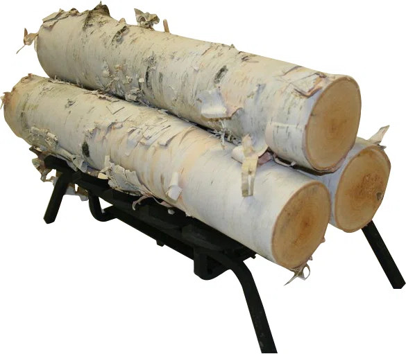 Coman Birch Logs | Wayfair North America