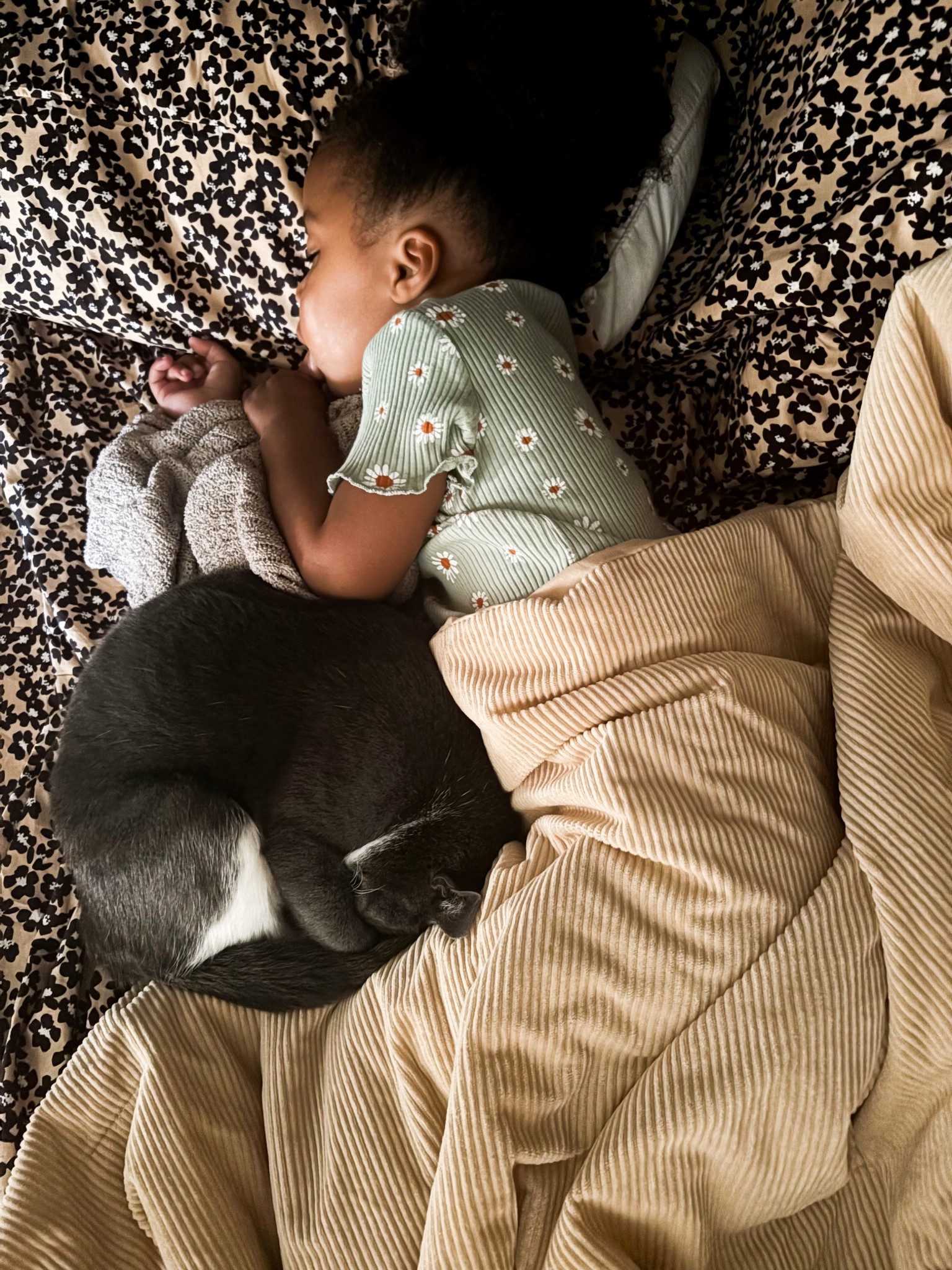 The most comfy fall bedding 😍 #floral #kids #mom #bedding #homedecor #decorations #target #fall #falldecor 

#LTKFallSale #LTKSeasonal #LTKHome