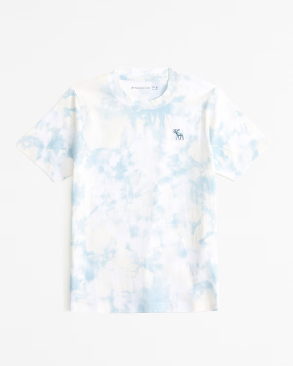 essential icon crew tee | Abercrombie & Fitch (US)