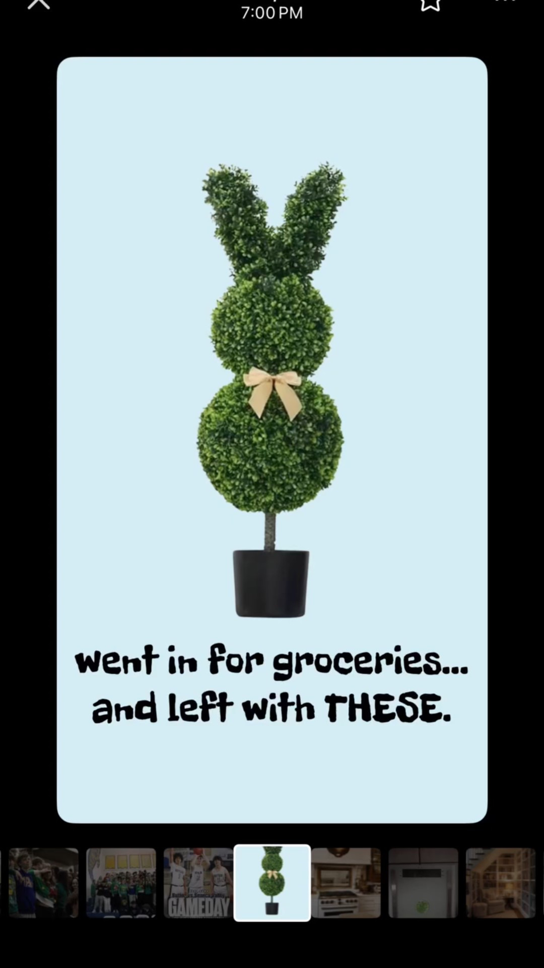 Easter Topiary Bunny – viral seasonal porch decor. Lightweight, outdoor-friendly, and sells out every spring. Perfect for front porch Spring decorating. 

#LTKSeasonal #LTKHome #LTKmomlife