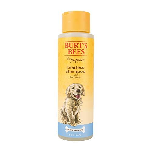 Burts Bees Puppy Shampoo | Amazon (US)