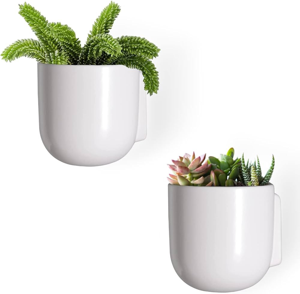 Bees & Buds Wall Planters for Indoor Plants - Wall Hanging Succulent Planter - Wall Decor Mounted... | Amazon (US)