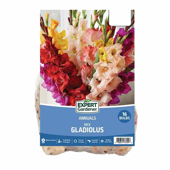Expert Gardener Gladiolus Mix Set of 16 Dormant Bulbs Multi-Color Partial Sun Annual | Walmart (US)