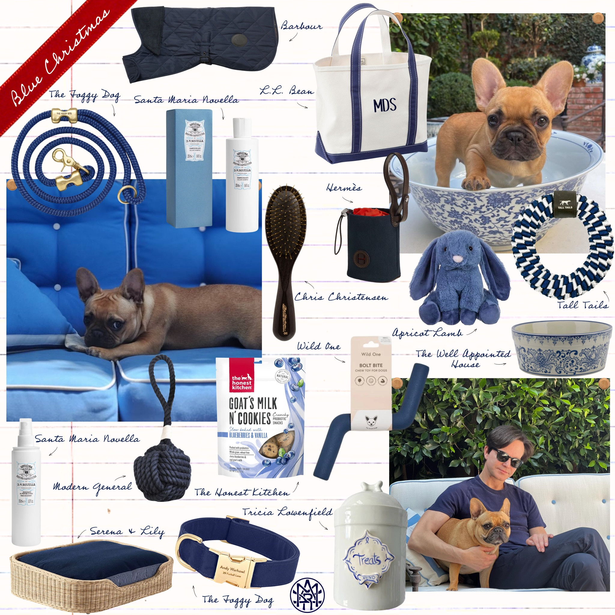 MDS Blue Christmas | For Pets